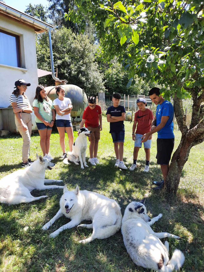 Visite du chenil